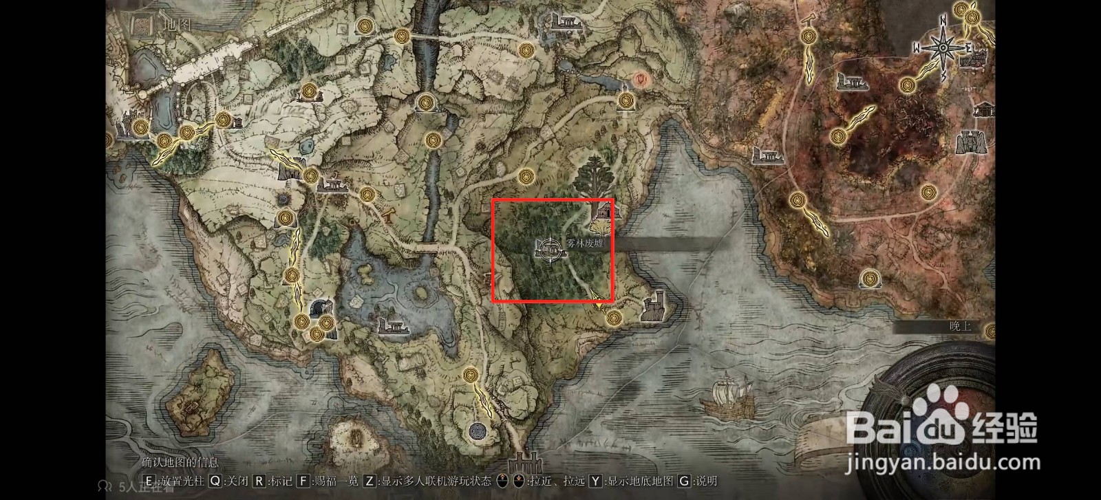 艾尔登法环雾林森林在哪
