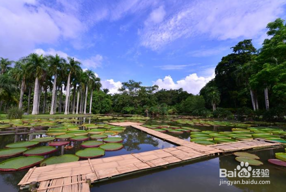 云南旅游全攻略