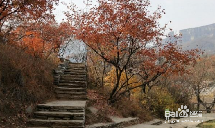 拍摄后所有的照片都需要后期吗？