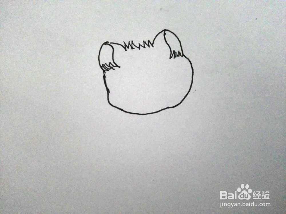 大眼睛猫咪的简笔画分享