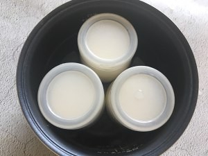 教大家如何制作自制无添加健康的蓝莓酸奶