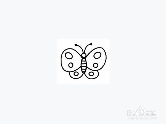 美丽蝴蝶简笔画