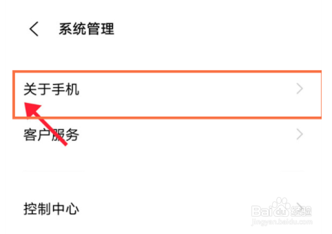 vivo手机怎么进入开发者模式
