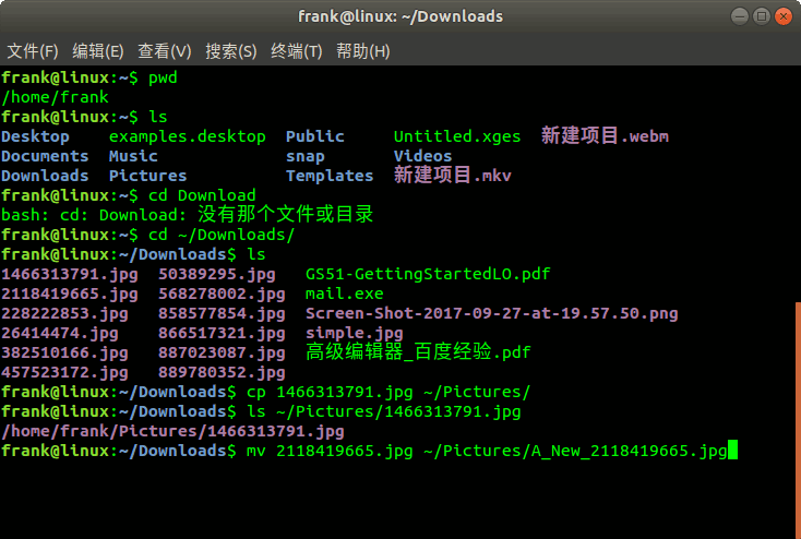 Linux 终端中常用的文件和文件夹操作命令