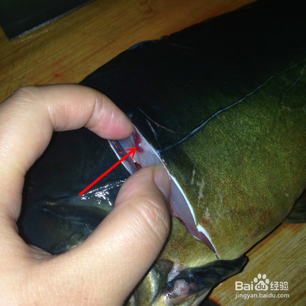 吃鲤鱼如何给鲤鱼抽筋?