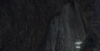 艾尔登法环野兽神庙隐藏小道路线攻略