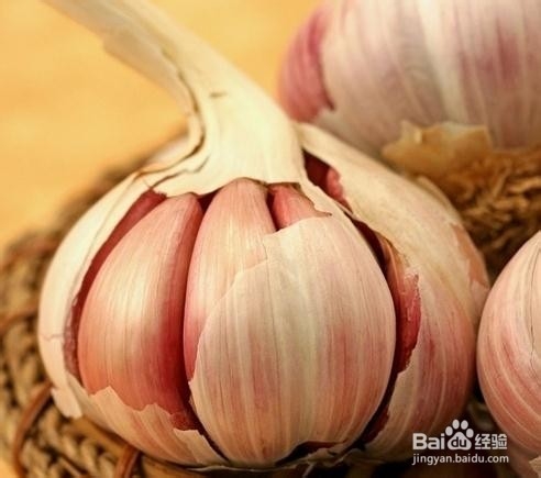 别让小虫侵入你的生活