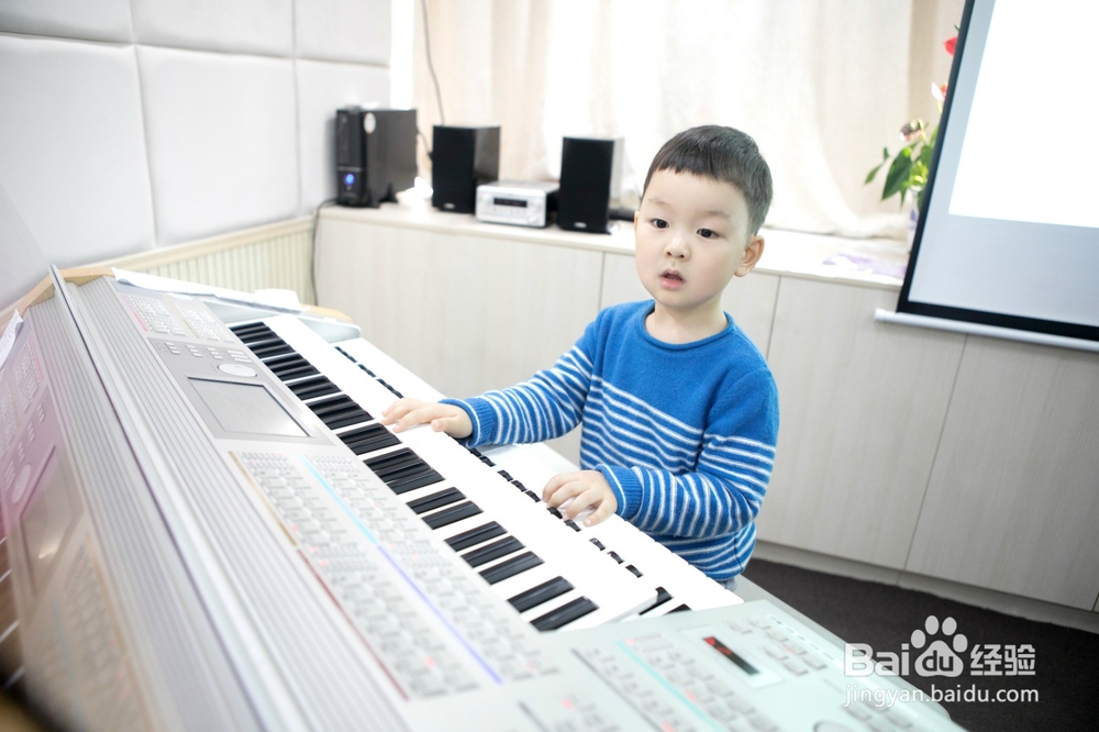 双排键记谱上的演奏标记