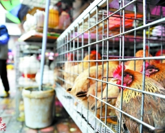 h7n9预防措施