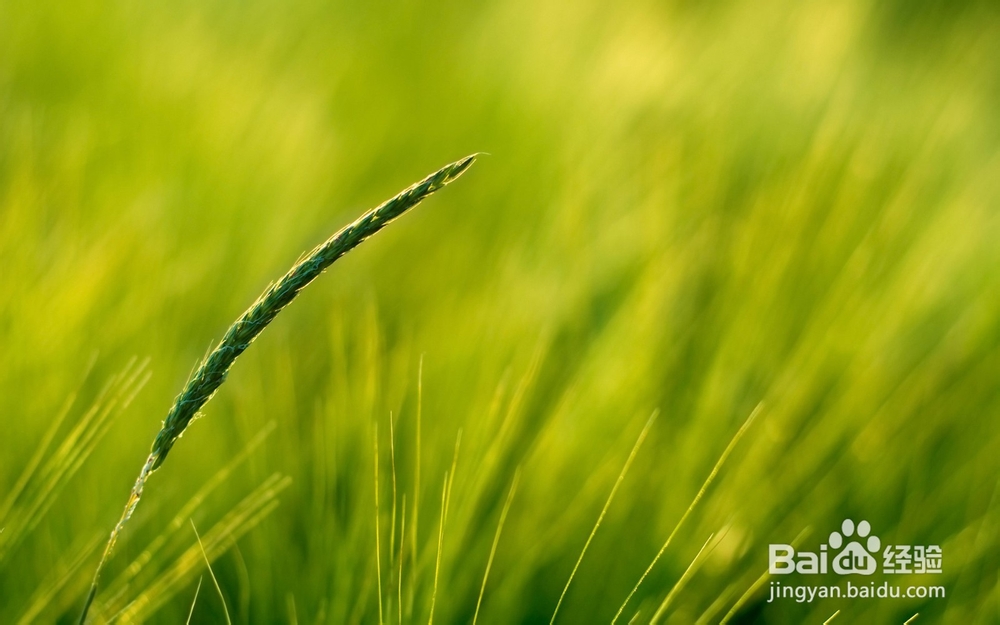 经济信息资源开发与利用：[16]复习总结十六