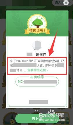 支付宝蚂蚁森林中怎么种树
