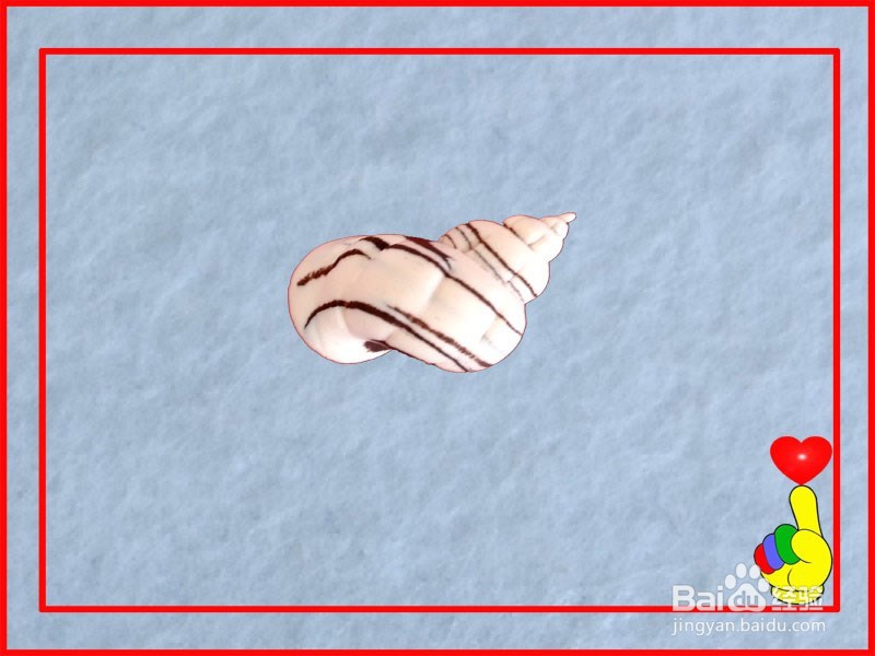 儿童鱼缸——海螺橡皮泥(彩泥、粘土)手工