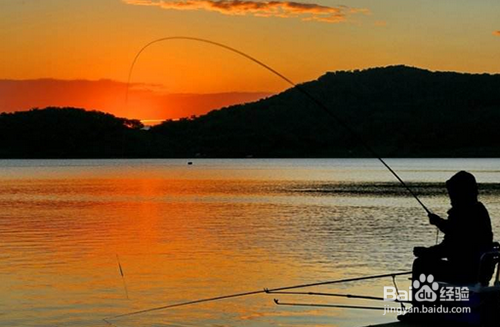 钓鱼的一些小常识