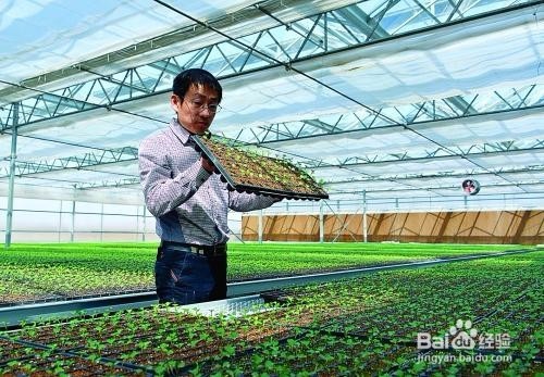 如何建设农业高新区