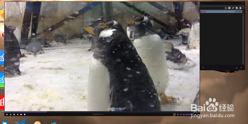 如何无损剪切合并mov视频