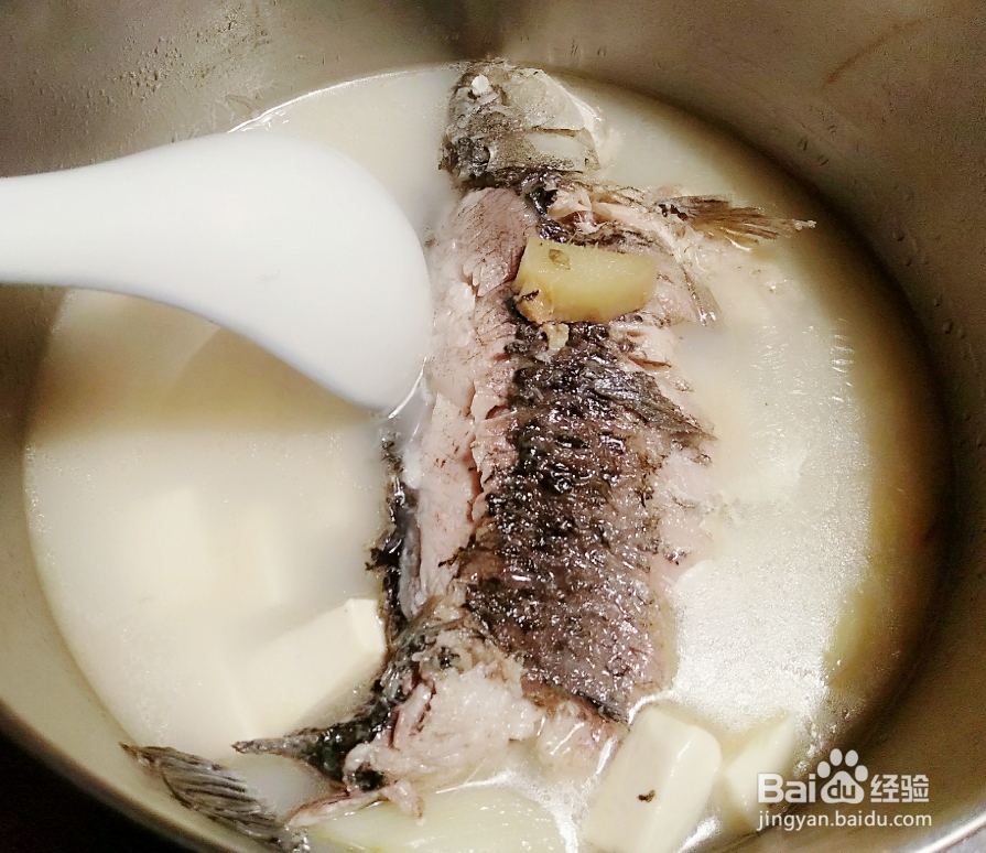 怎么做奶白豆腐鲫鱼汤