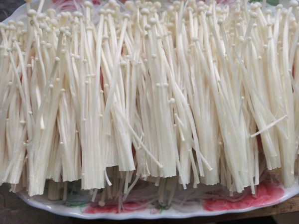 蒜蓉粉丝金针菇