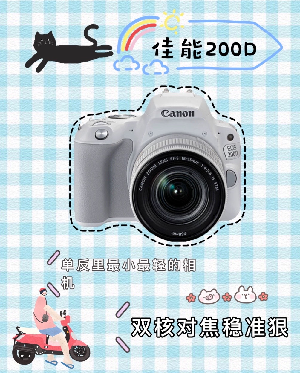 最受欢迎的新手入门相机,看看你最适合哪一款