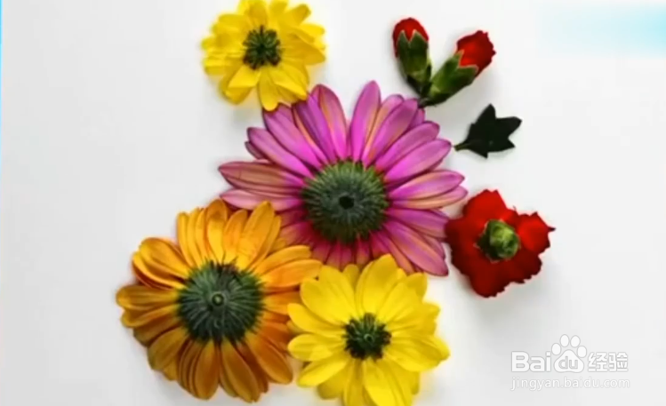 如何装饰自己的家