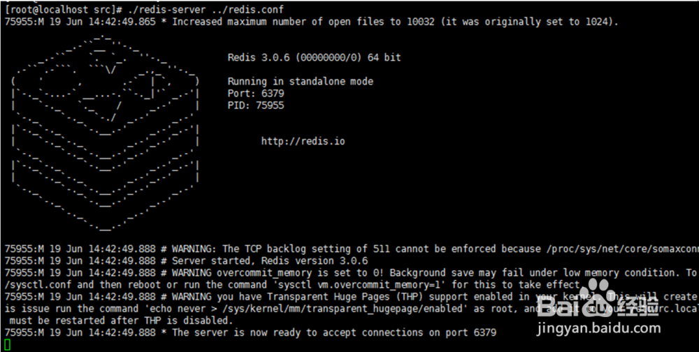 在centos7安装redis教程