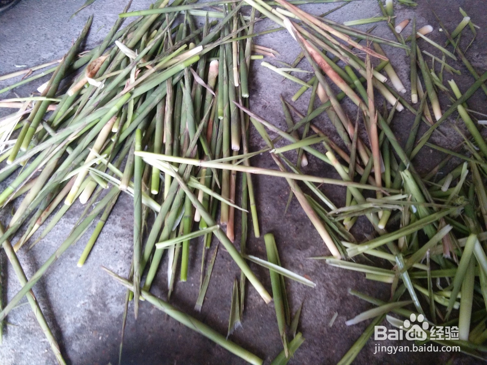 春风吹,春笋生,如何做一道美味的鸡蛋炒春笋?