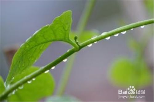 含水越少，皮肤越老