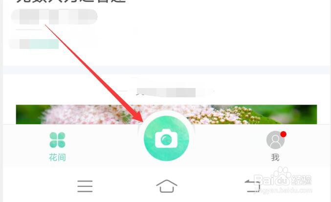 图片上的花朵如何识别出名称?