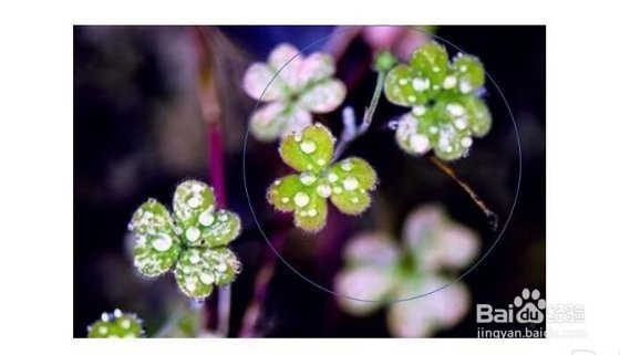 在ppt中如何改变插入图片形状的方法