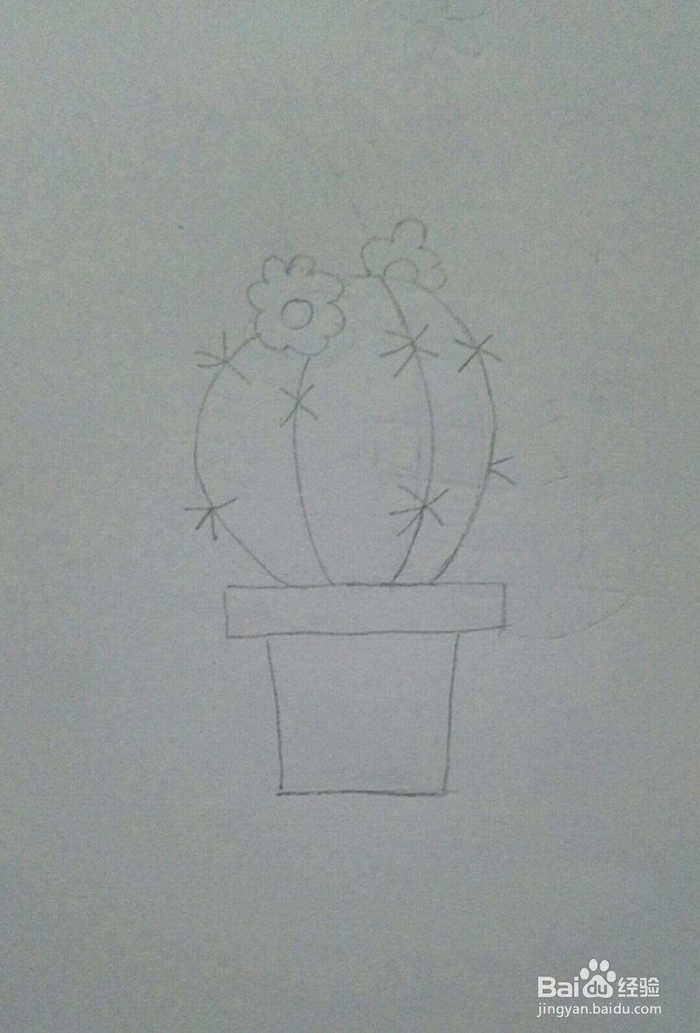 仙人掌的简笔画法