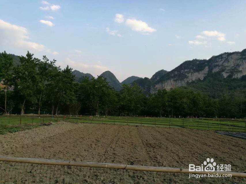 世外桃源—坝美旅游攻略