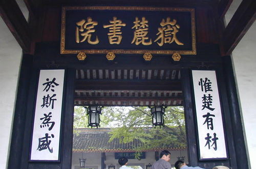 会计自考本科考试计划