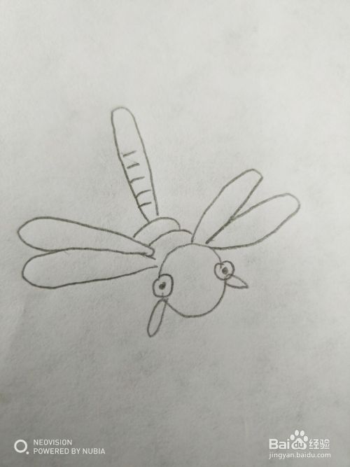 可爱简单的蜻蜓怎么画