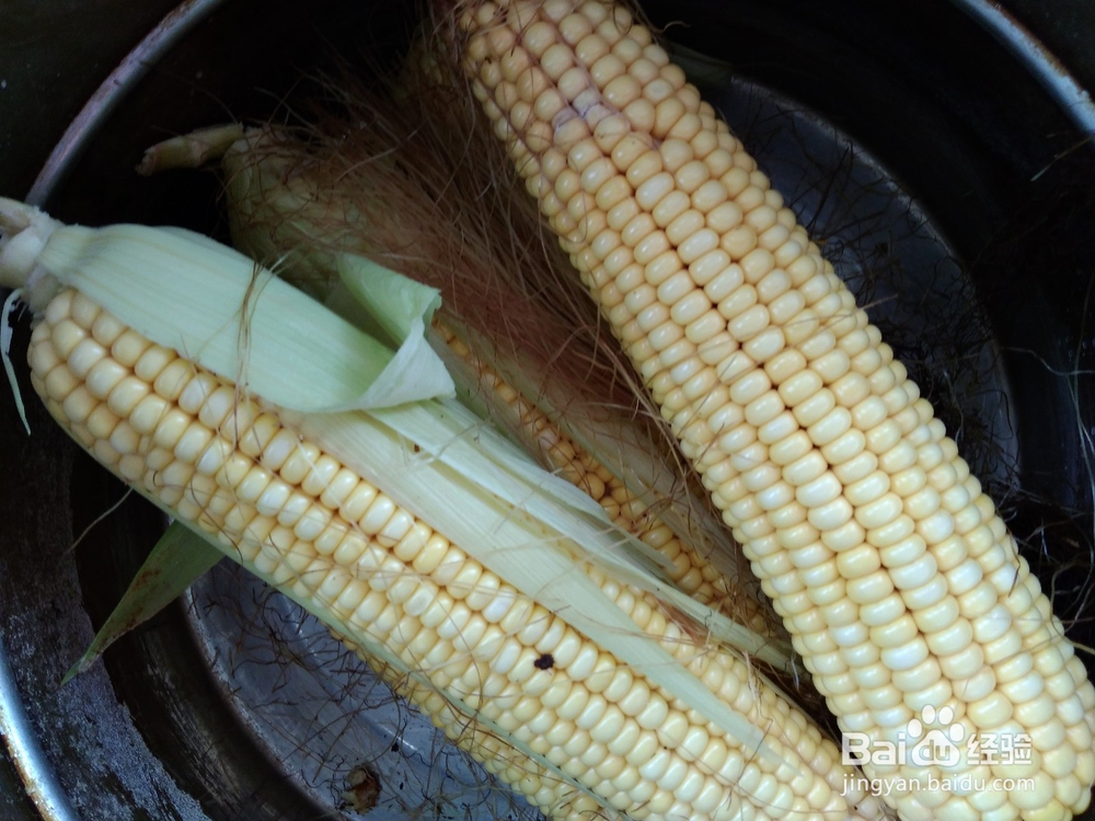 对于不是转基因玉米的煮法