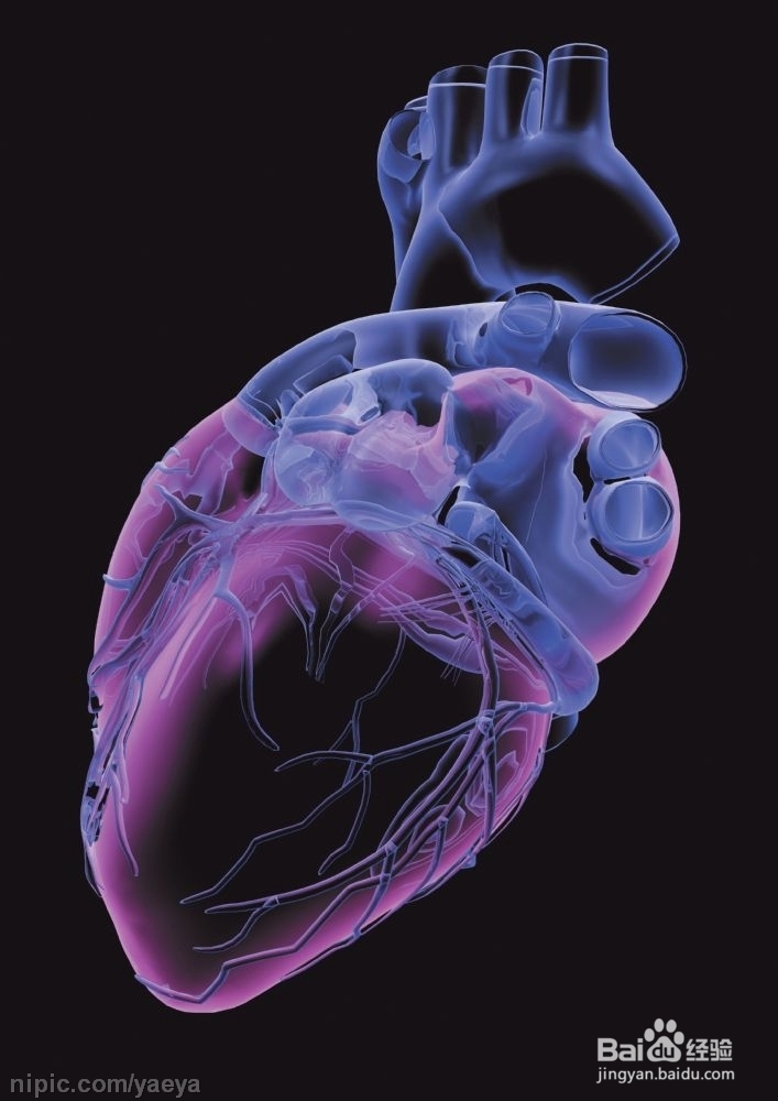 心脑血管有十怕