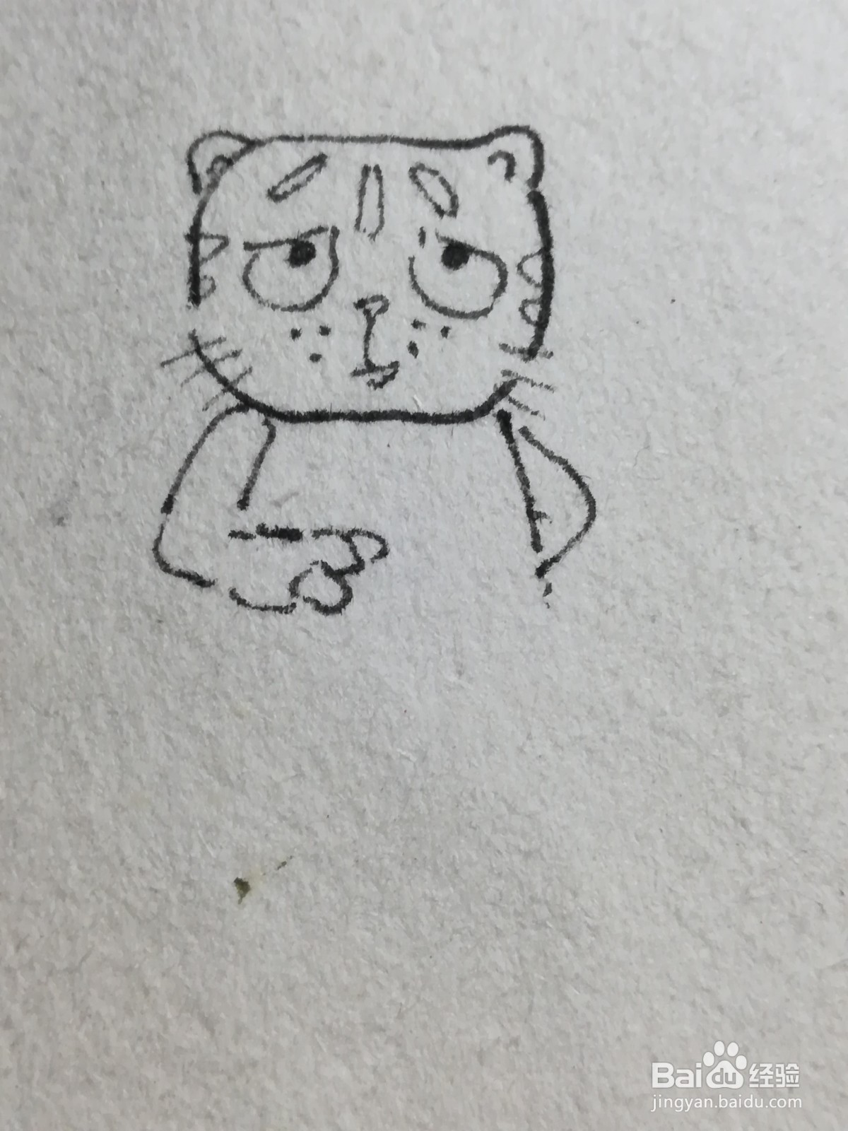 怎么画卡通大脸猫