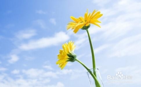 秋季6个小窍门助你远离感冒