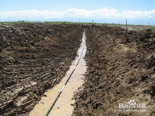 如何有效改良土壤