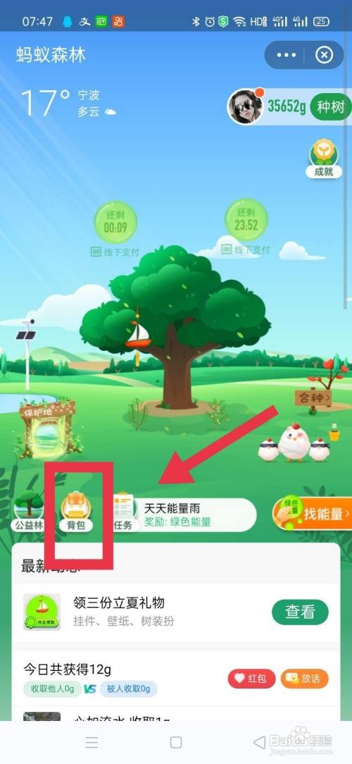 蚂蚁森林如何装扮千年山桃树