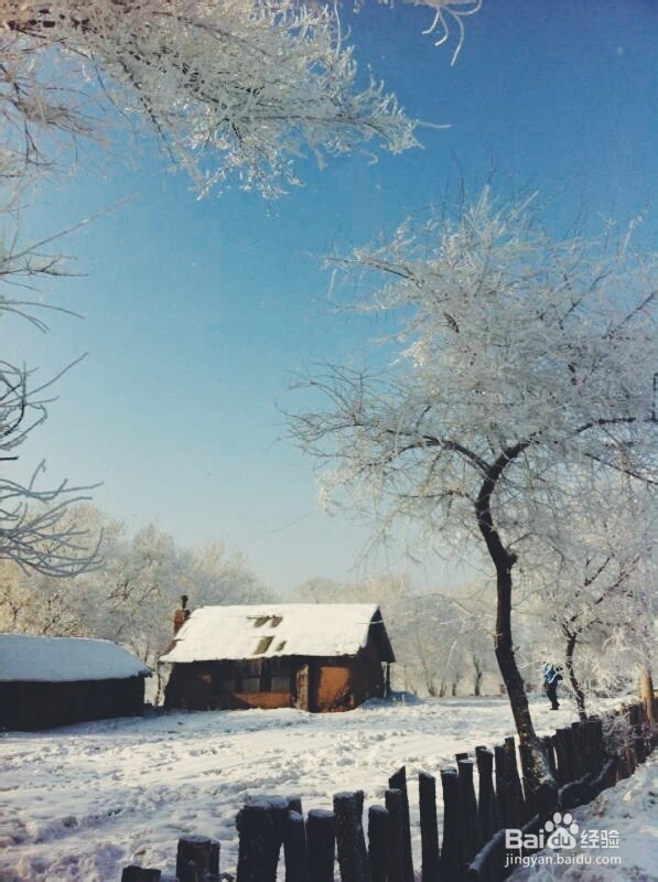 手机摄影技巧：[6]雾凇拍摄小贴士