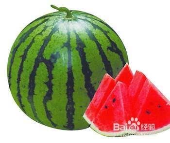夏天狗狗防暑降温有什么不能吃的要注意