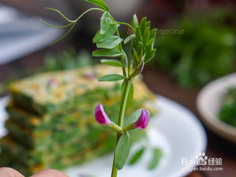 野菜蛋饼的做法