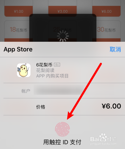 花梨阅读怎么充值?