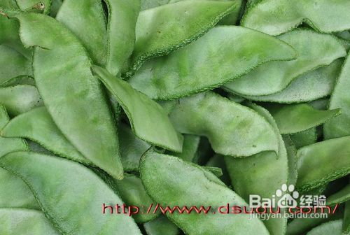 爱护视力，三类食物要多吃