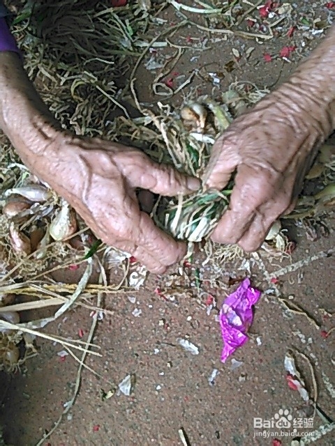 怎么煲鲜美的海星汤？