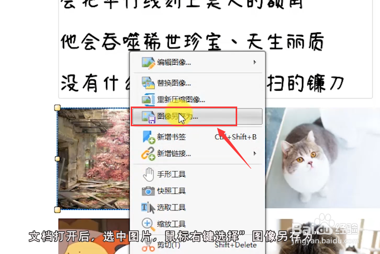 怎么将PDF中的图片提取出来？