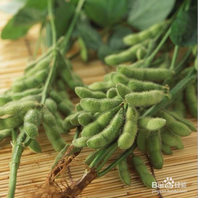 痒痒粉的简单制作方法