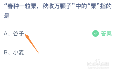春种一粒粟秋收万颗子中的粟指的是