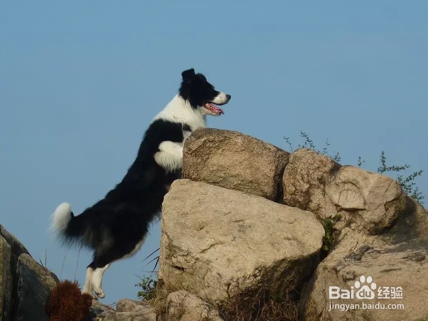 生活中的拍照技巧