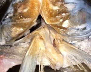 食补养生鱼头炖豆腐