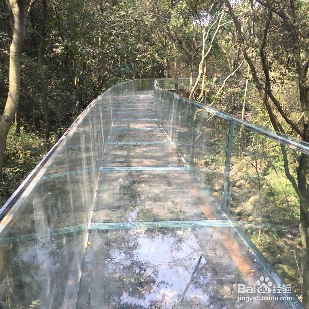 夏季漂流玩水好地方：铁山寺峡谷漂流